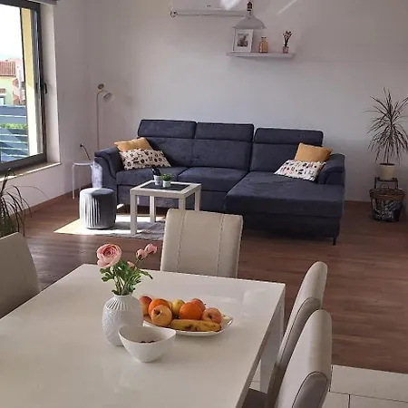 Family-friendly With Swimming Pool Brodarica, - 20248